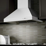 ZLINE 60" Professional Ducted Wall Mount Range Hood in Stainless Steel (667-60)
