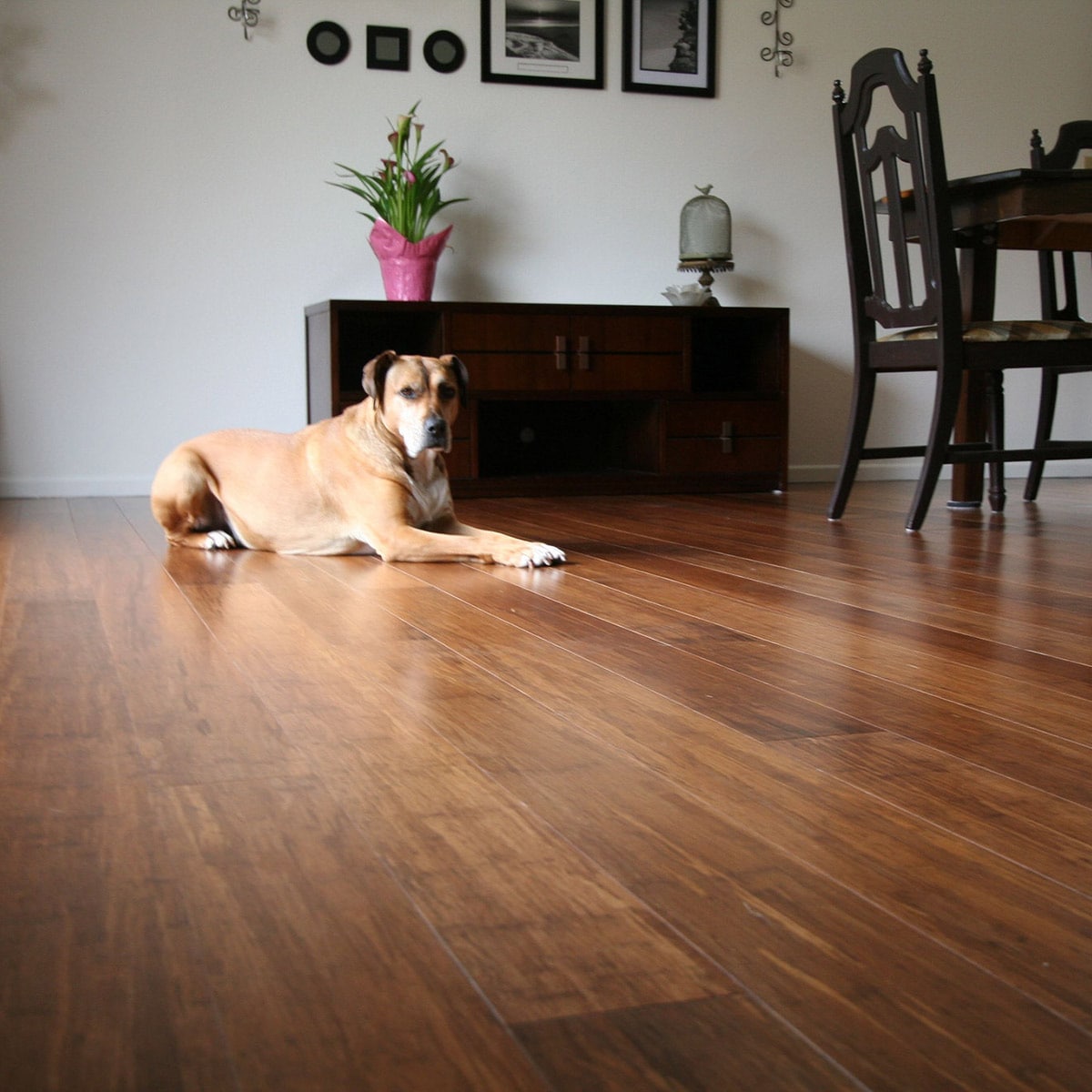 Cali shop bamboo flooring