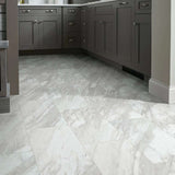 Shaw Floorte, Paragon Tile Plus 1022V-01010 Oyster SPC Vinyl Flooring, 12" X 24" X 5.5mm Thickness (15.83 SF/CTN)