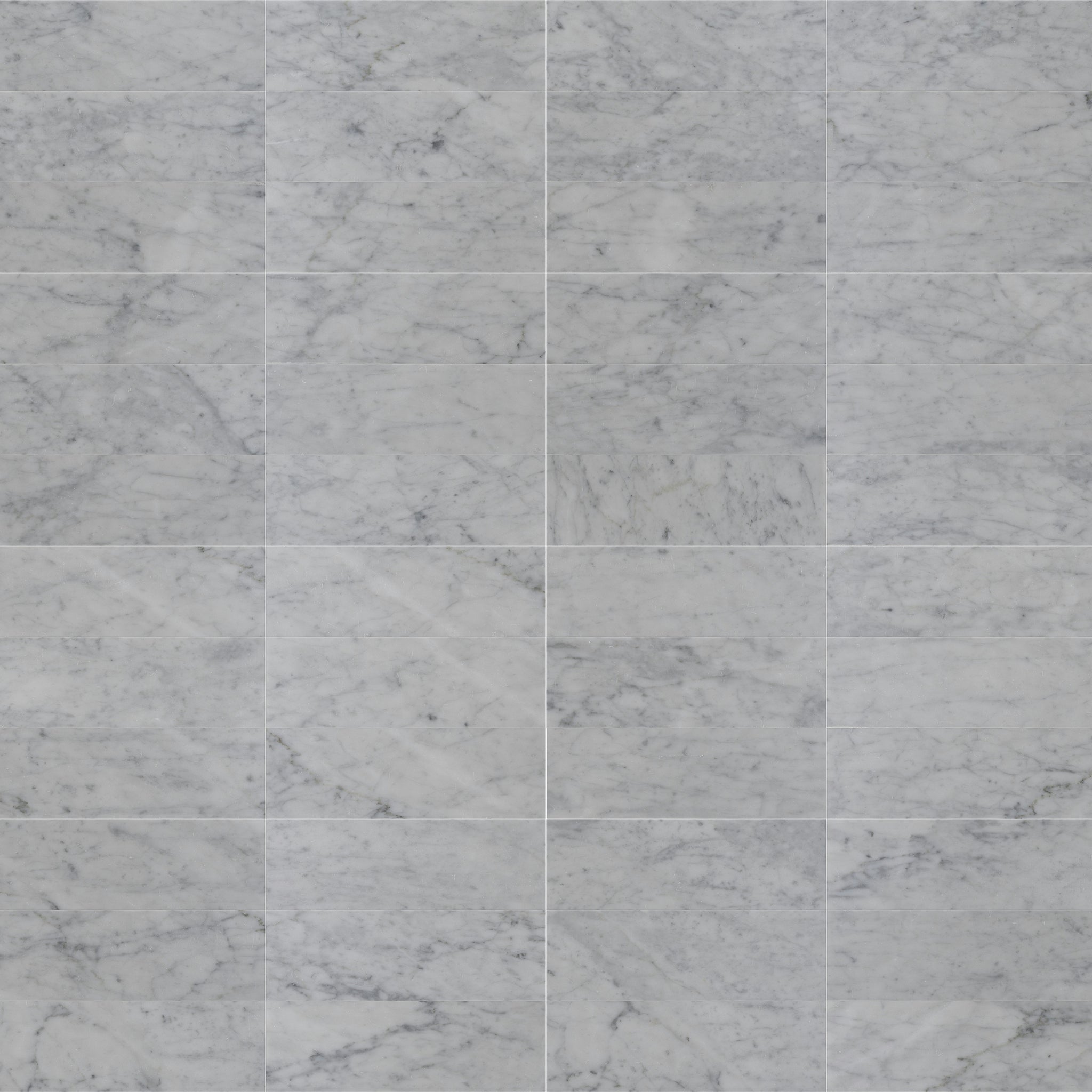 4 X 12 in. Bianco Carrara White Honed Marble Tile