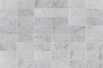 6 X 12 in. Bianco Carrara White Polished Marble Tile