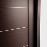 Maximum 01 Interior Door in Wenge Finish