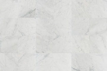12 X 12 in. Bianco Carrara White Honed Marble Tile