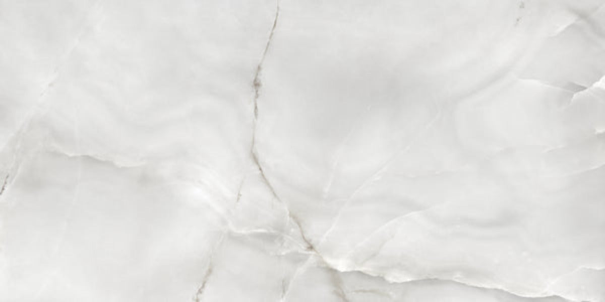La Marca 24 x 48 in. Onyx Nuvolato Polished Rectified Glazed Porcelain Wall Tile (2)