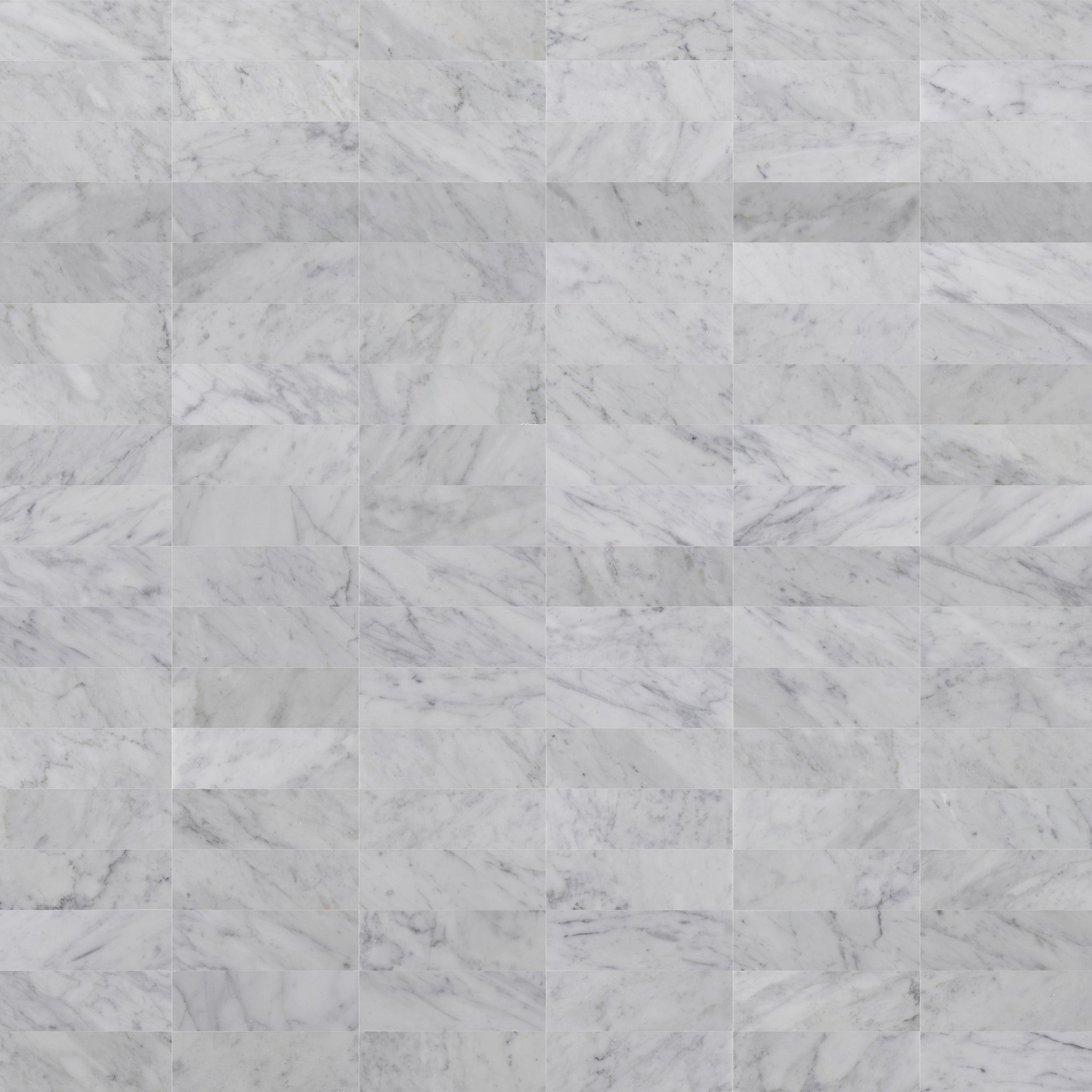 3 X 9 in. Bianco Carrara White Honed Marble Tile