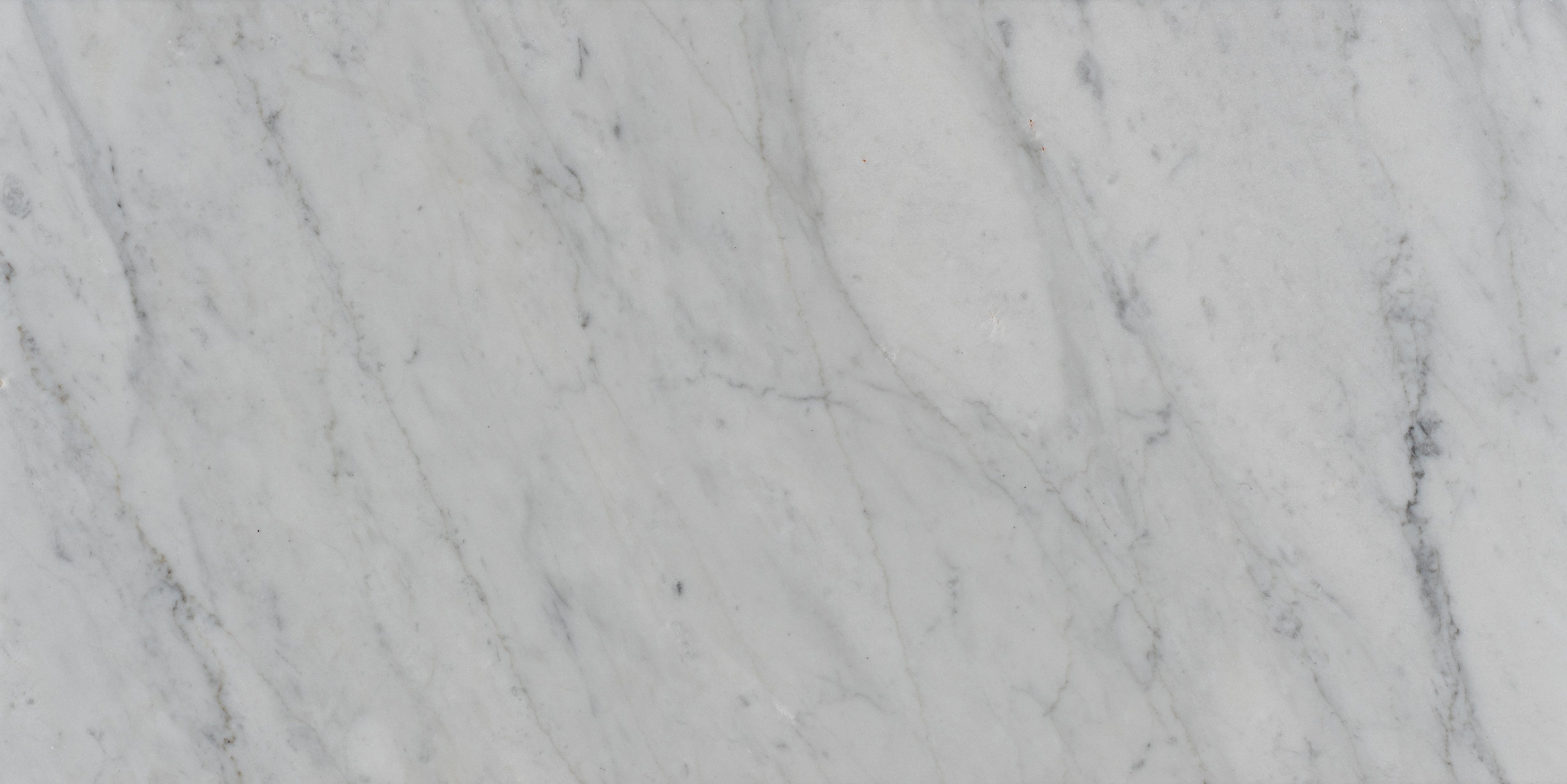 12 X 24 in. Bianco Carrara White Brushed Marble Tile