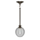 1-Light Clear Glass Pendant Lighting Fixture with Brushed Nickel Finish, E26 Base, UL Listed for Damp Location