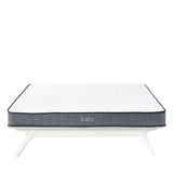 Kate 6" Innerspring Mattress with 10 Years Warranty