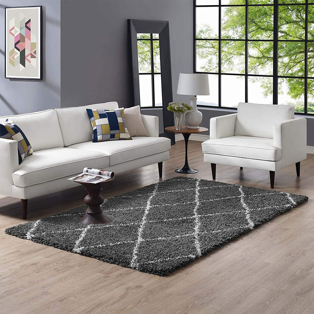 Toryn Diamond Lattice Shag Area Rug