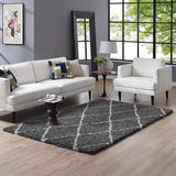 Toryn Diamond Lattice Shag Area Rug