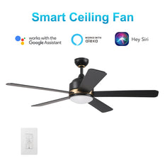 SIMOY 52" In. Black/Black (Gold Detail) 5 Blade Smart Ceiling Fan with LED Light Kit Works with LED Light Kit & Wall Switch
