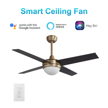 Neva 52" In. Gold/Black 4 Blade Smart Ceiling Fan with LED Light Kit Works with Smart Wall Switch, Google Assistant/Alexa/Siri