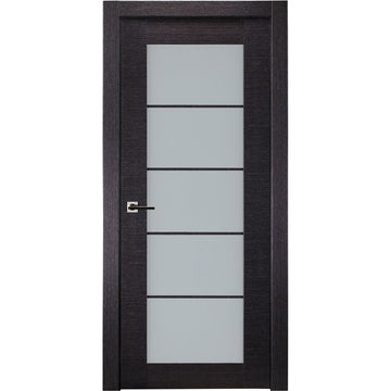 Avanti 5 Lite Interior Door in Black Apricot Finish