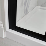 Marina Framed Stainless Steel Pivot Shower Door & Panel with 3/8 In Tempered Safety Glass