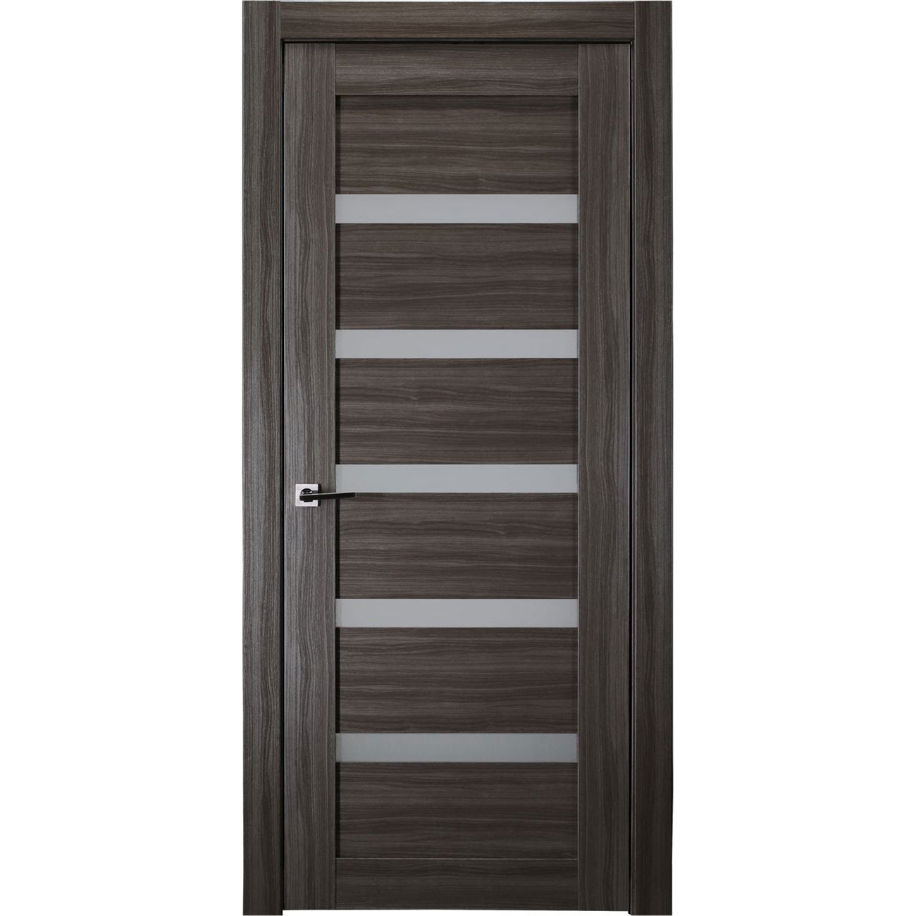 Leora Vetro Interior Door in Gray Oak Finish
